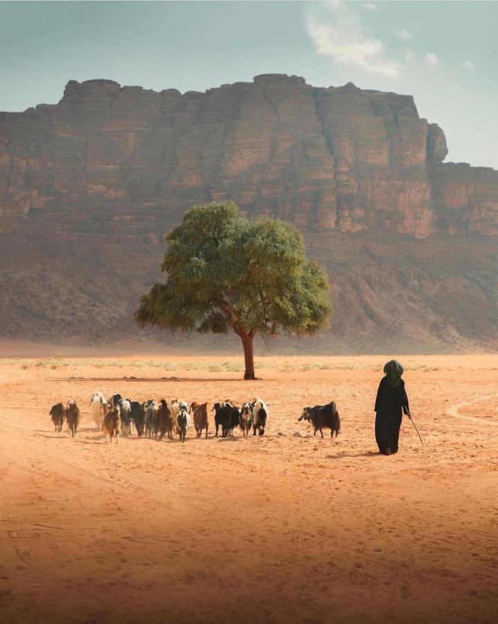Ariana Luxury Camp Wadi Rum Zewnętrze zdjęcie